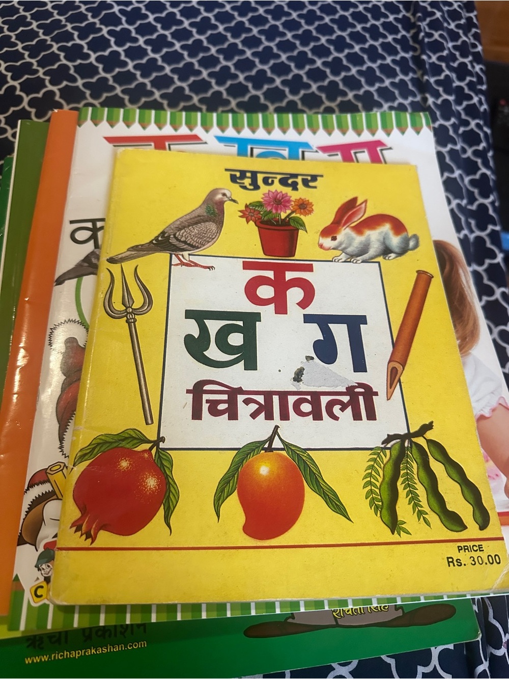 Hindi teaching books
